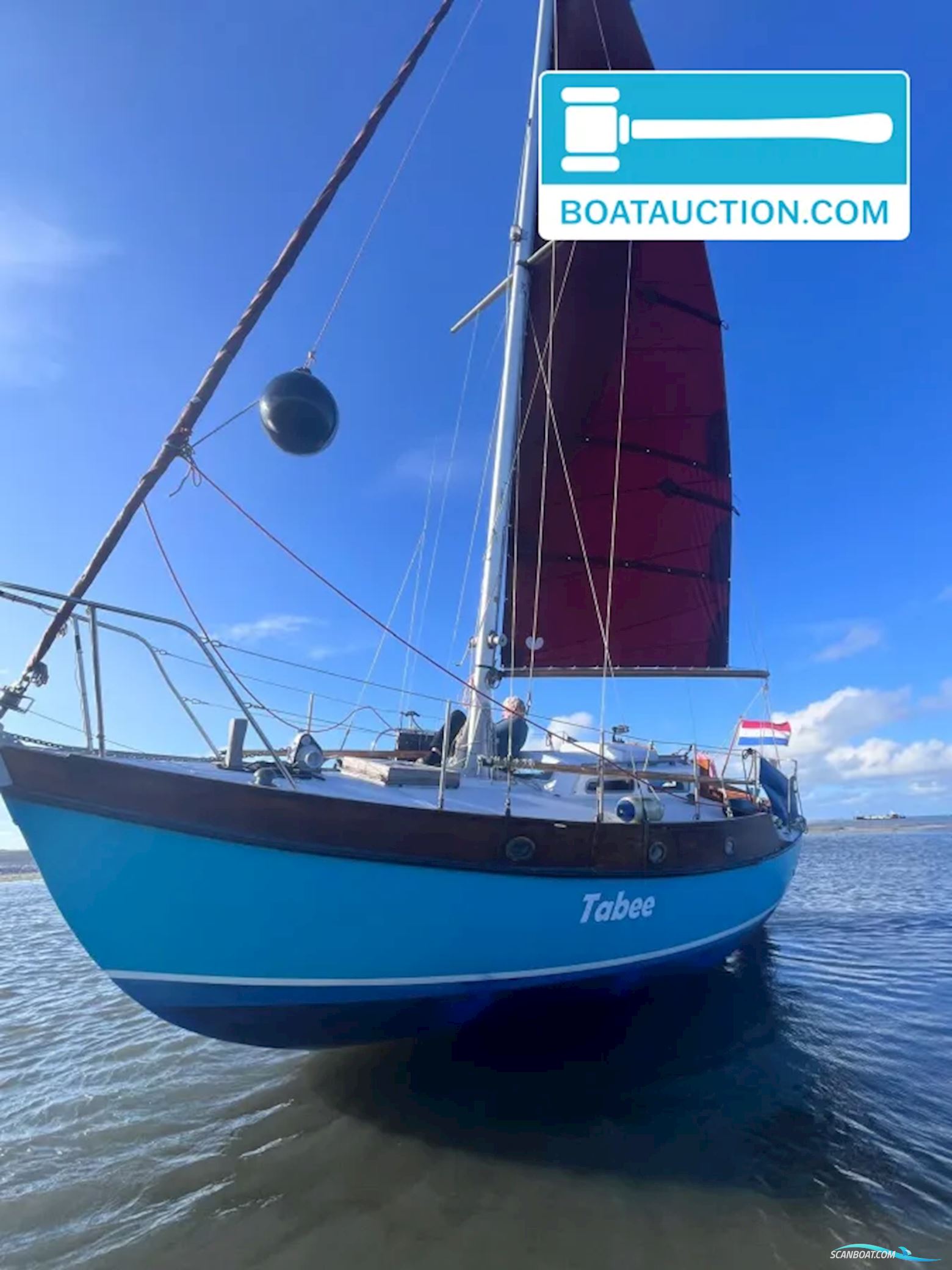 Rossiter Pintail 27