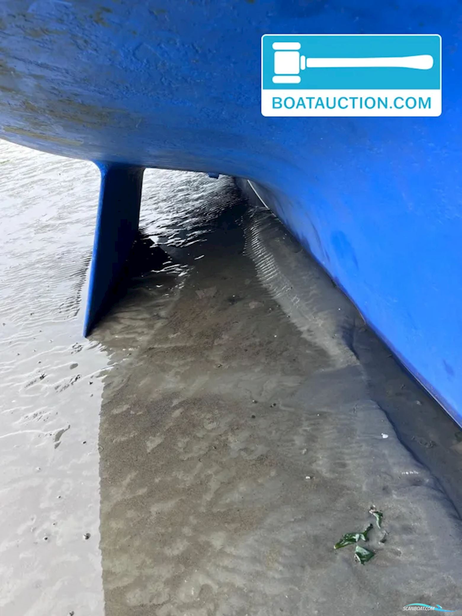 Rossiter Pintail 27