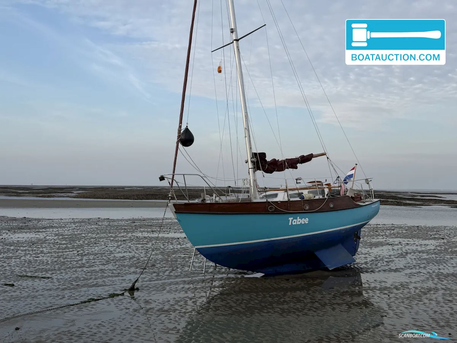 Rossiter Pintail 27