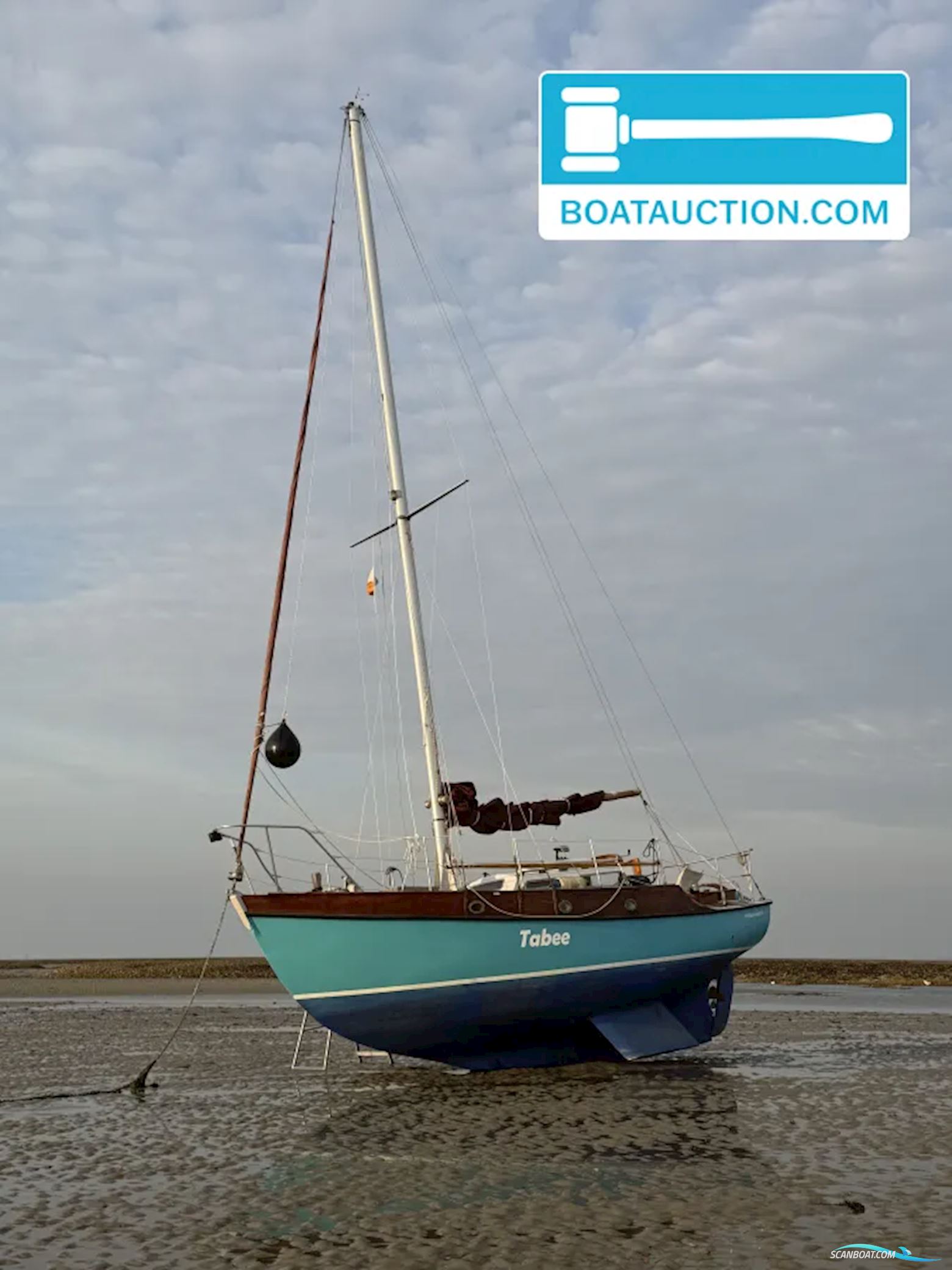 Rossiter Pintail 27