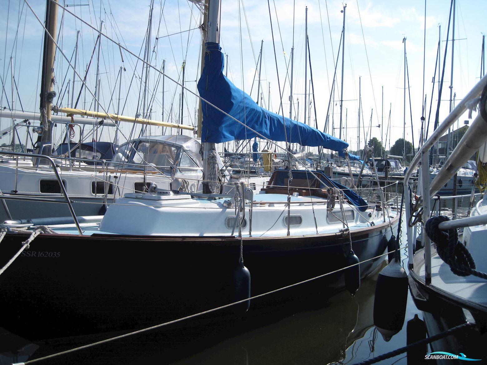 Rustler 31