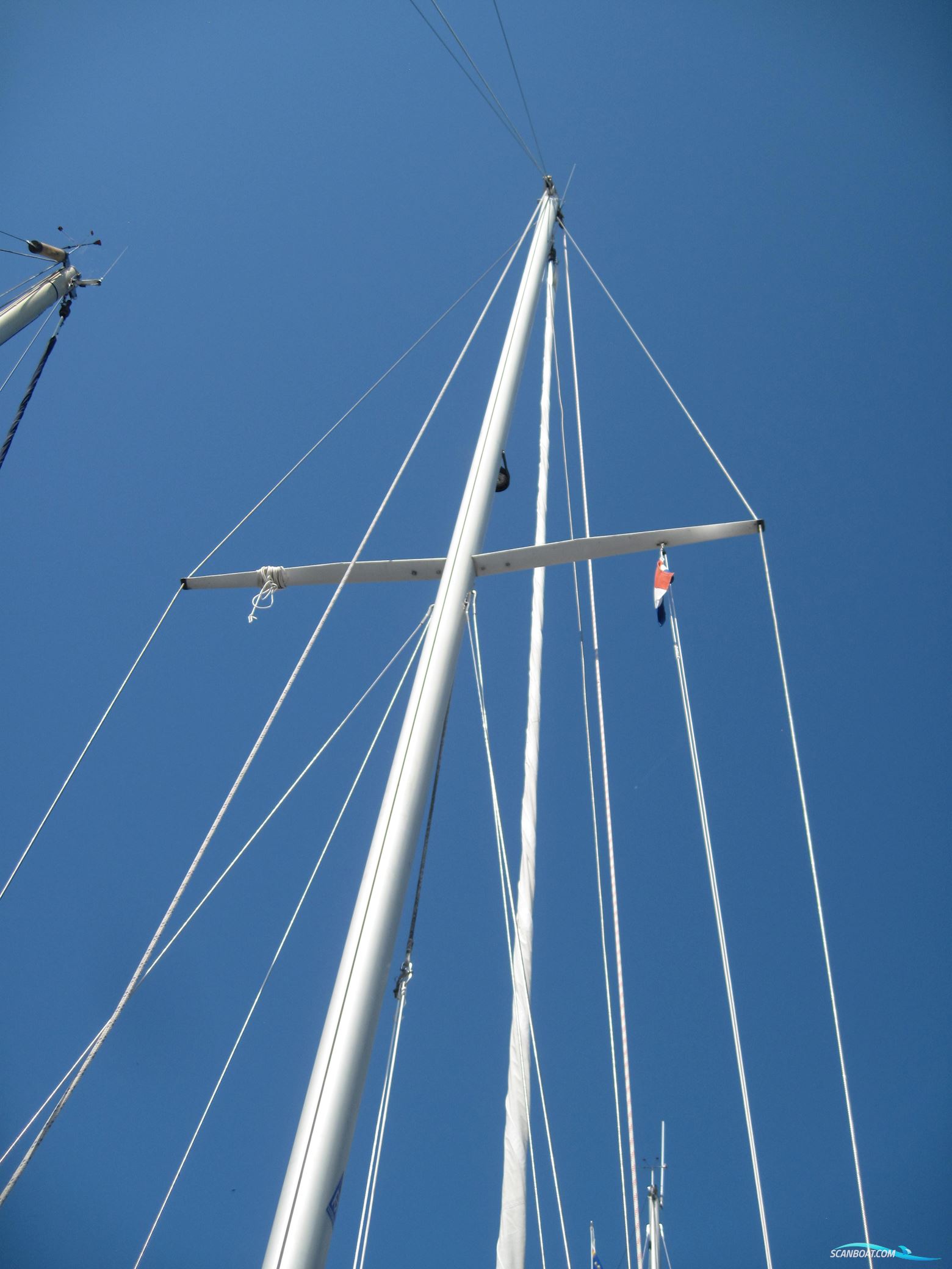 Rustler 31
