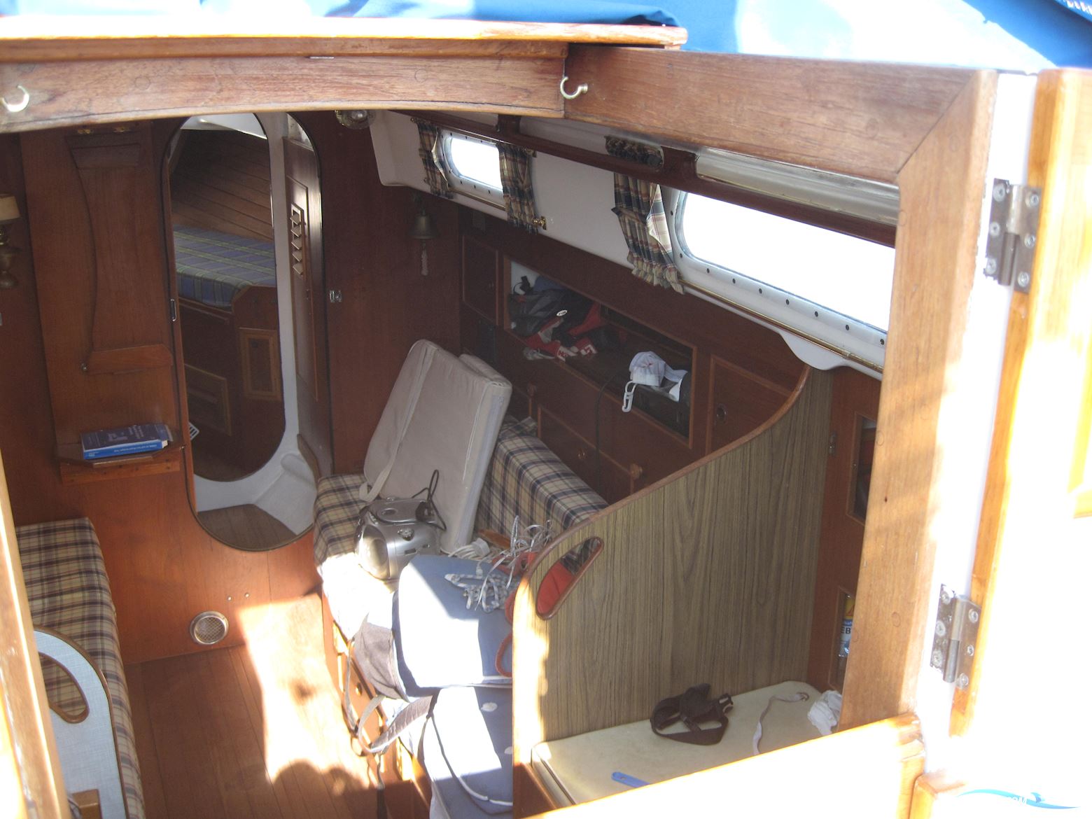 Rustler 31