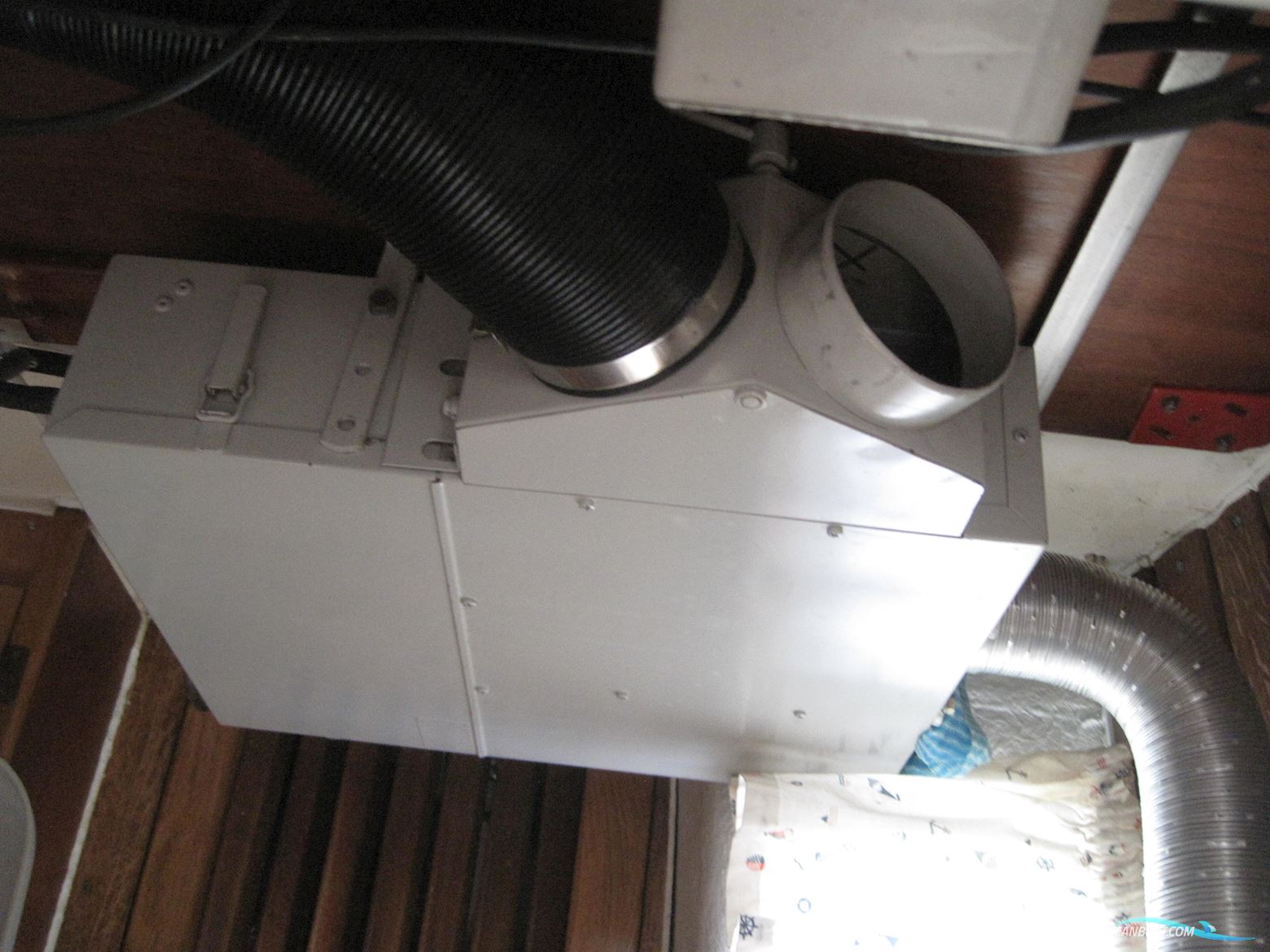 Rustler 31