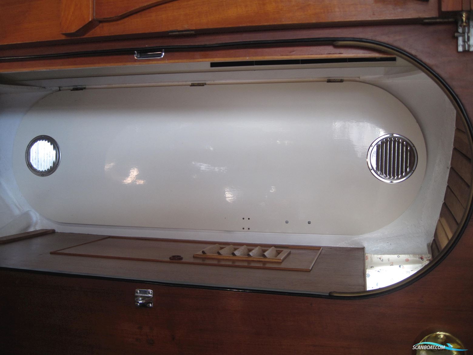 Rustler 31