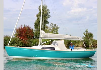 SAFFIER Sc 8m Cabin Zeilboten 2019, The Netherlands