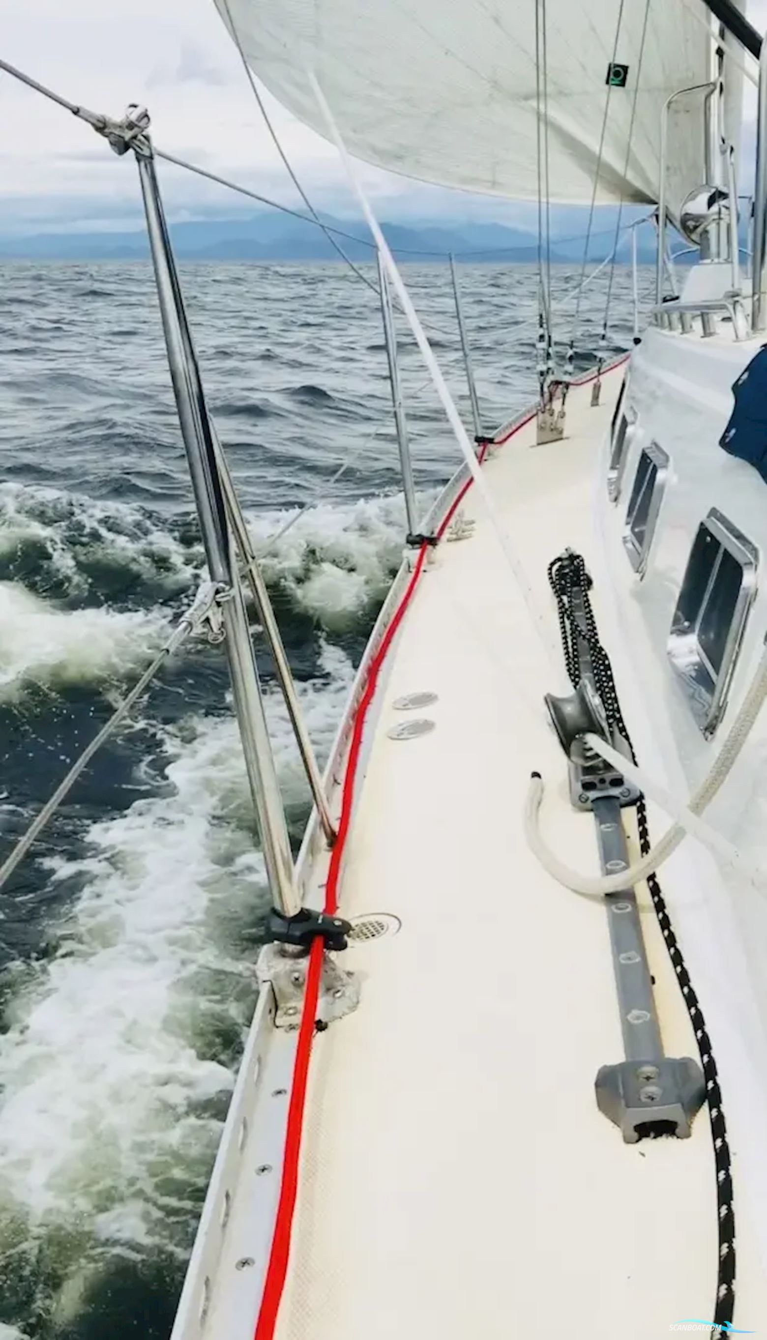 Saga 43