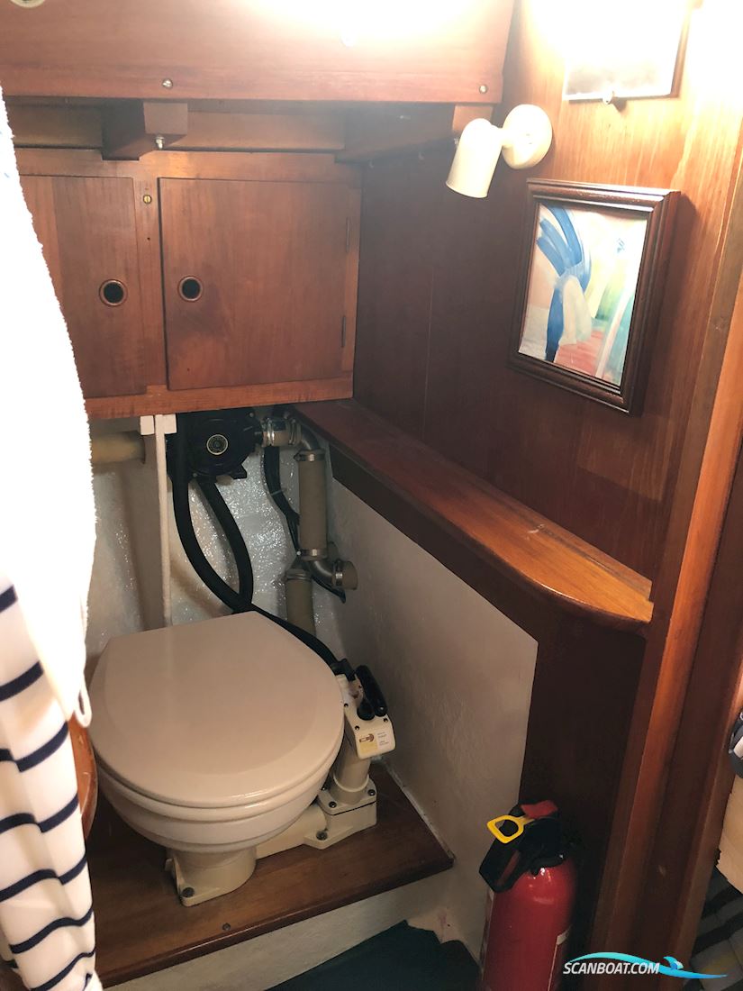 Sagitta 30
