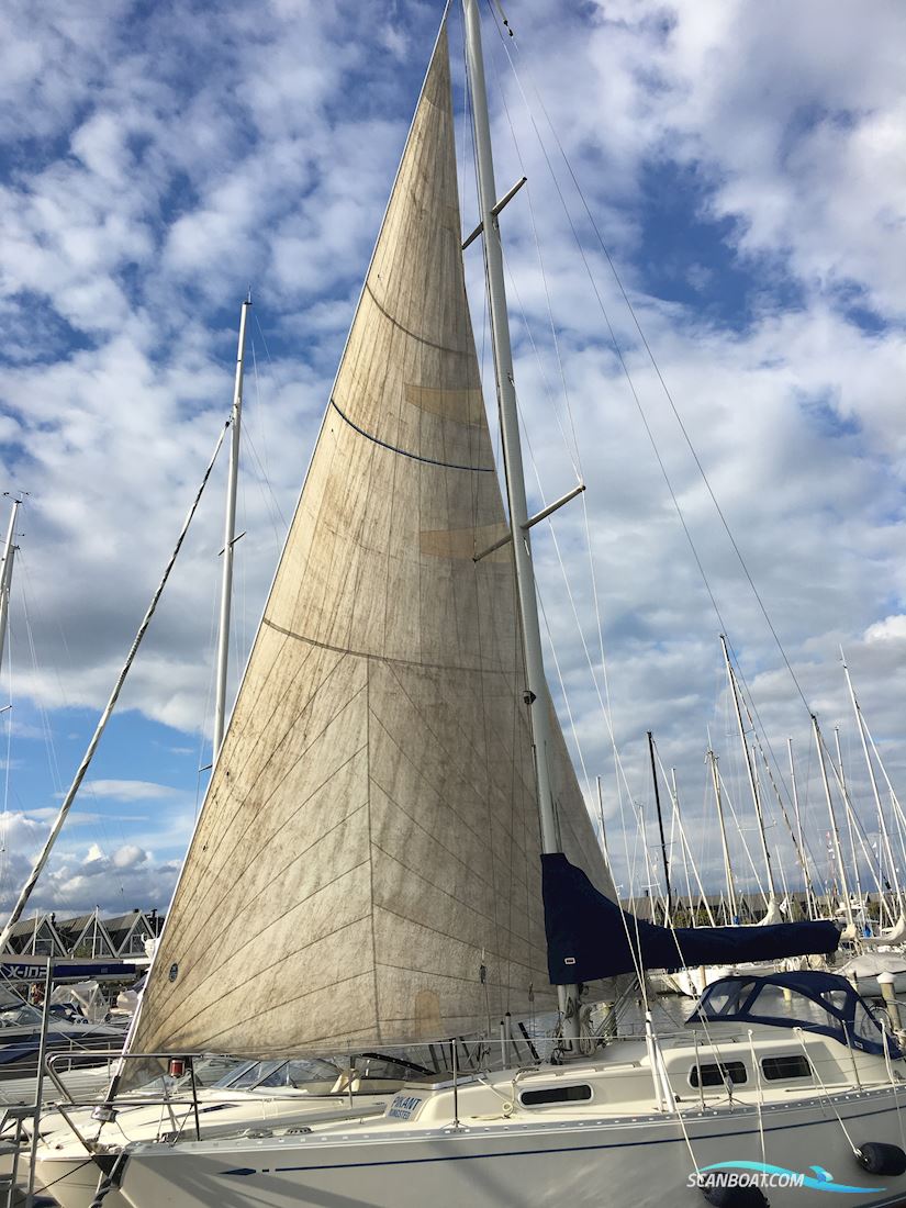 Sagitta 35