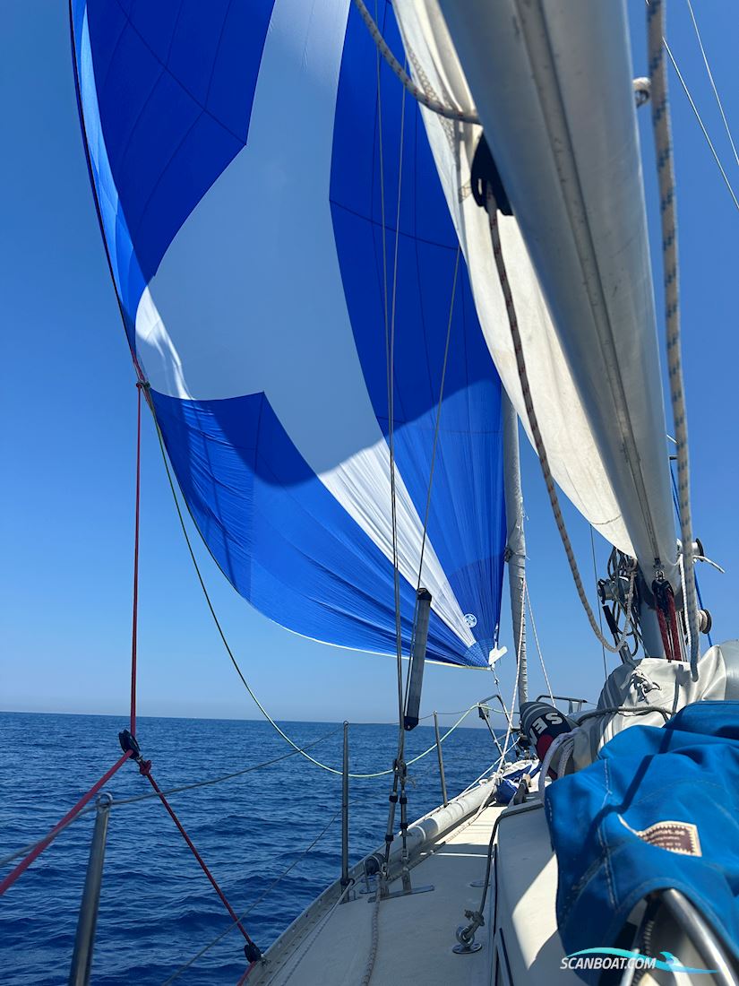 Sagitta 35