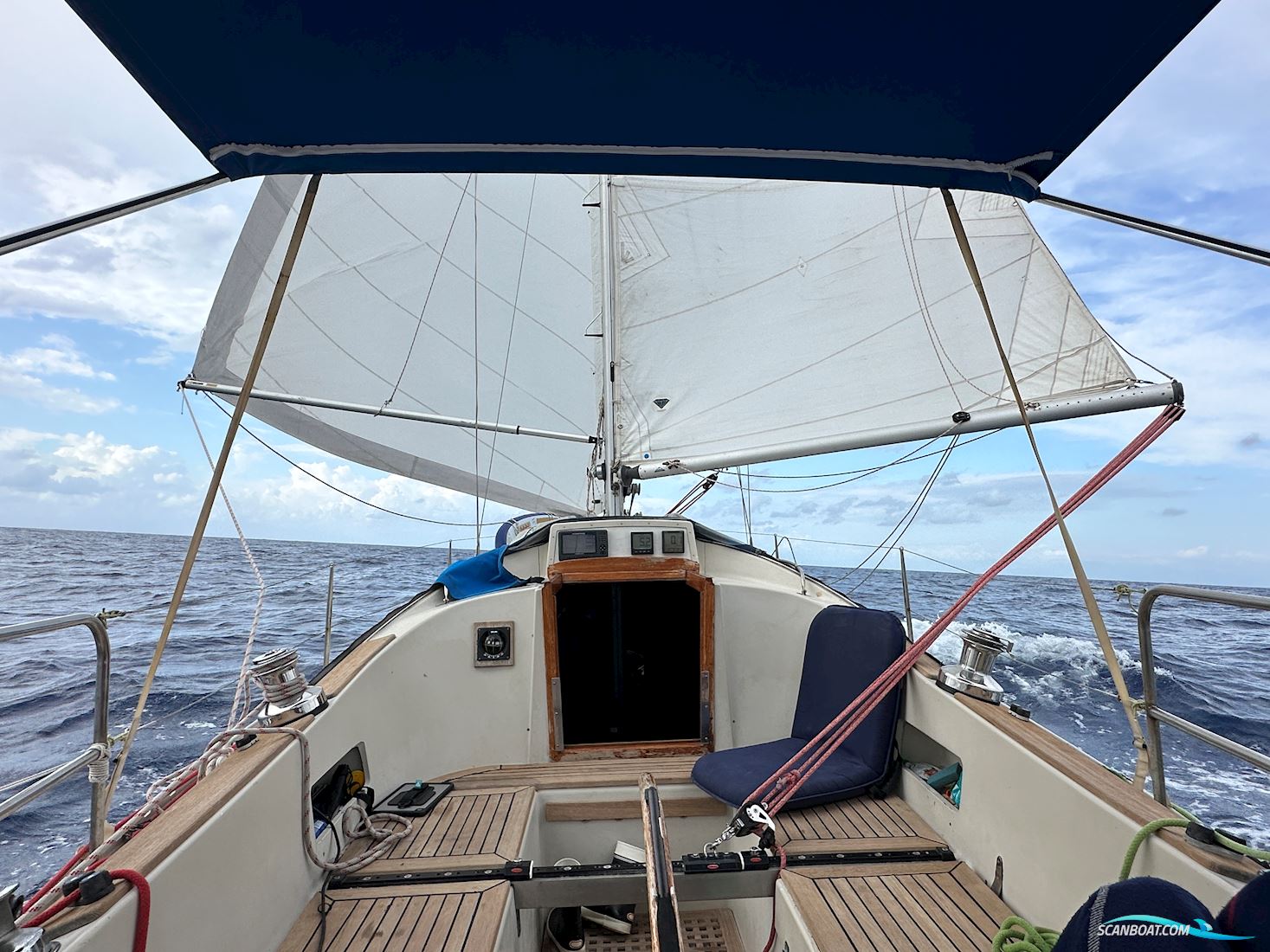 Sagitta 35
