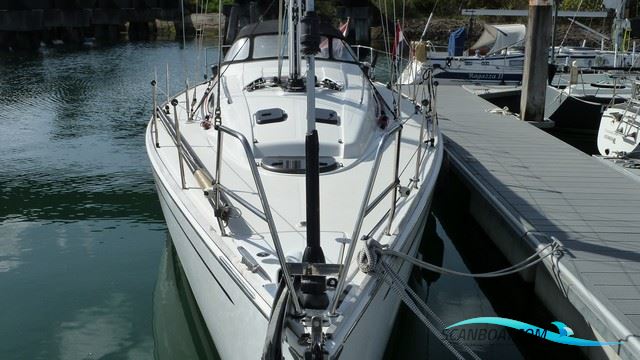 Salona 42