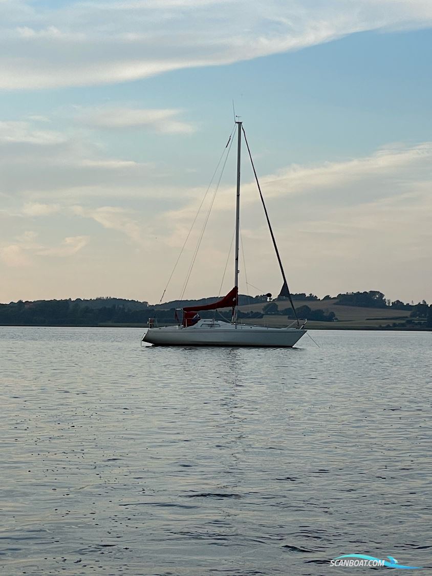 Scampi 30 med plads i Gilleleje Zeilboten 1975, met Yanmar YSE8G motor, Denemarken