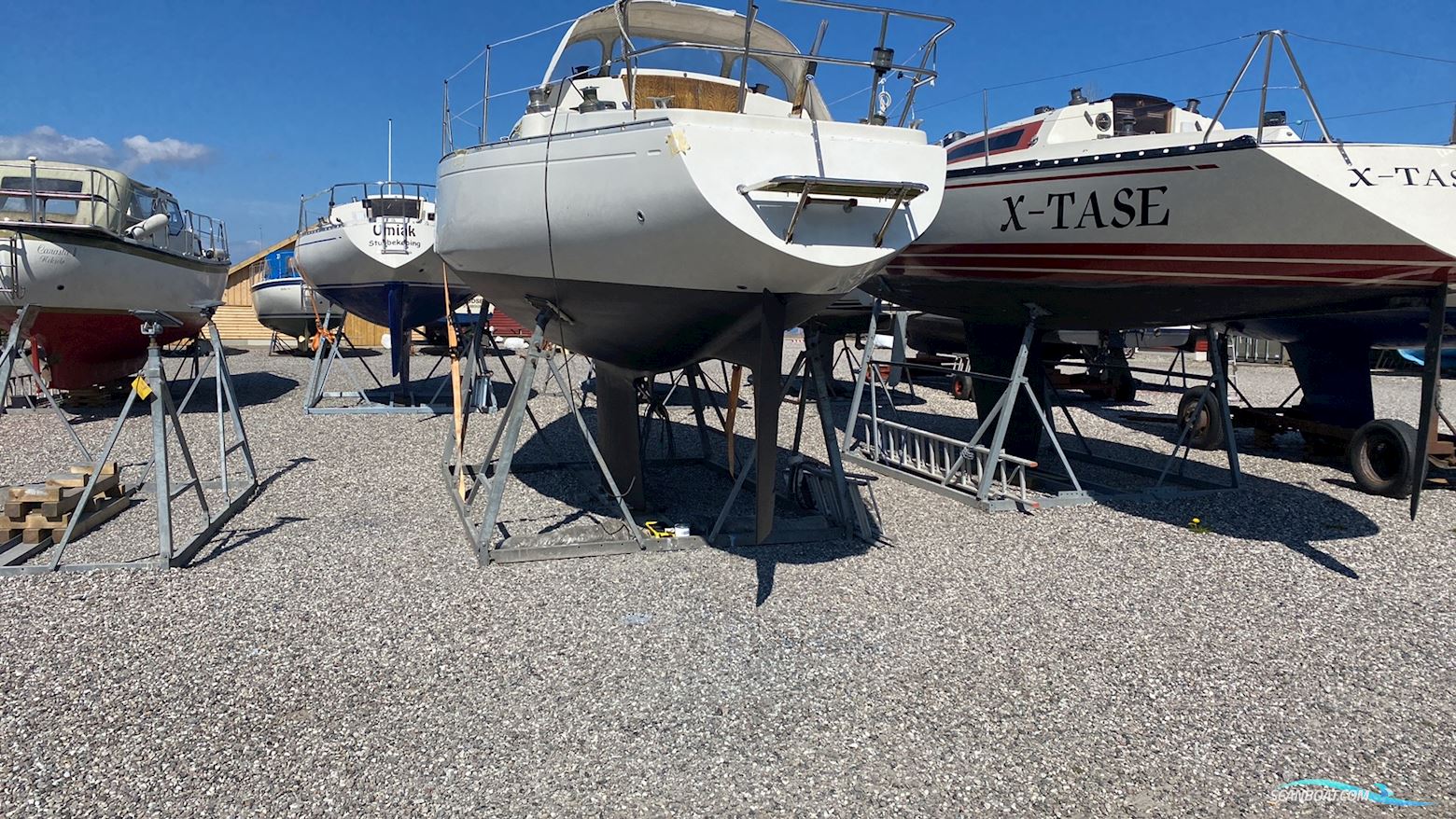 Scampi 30