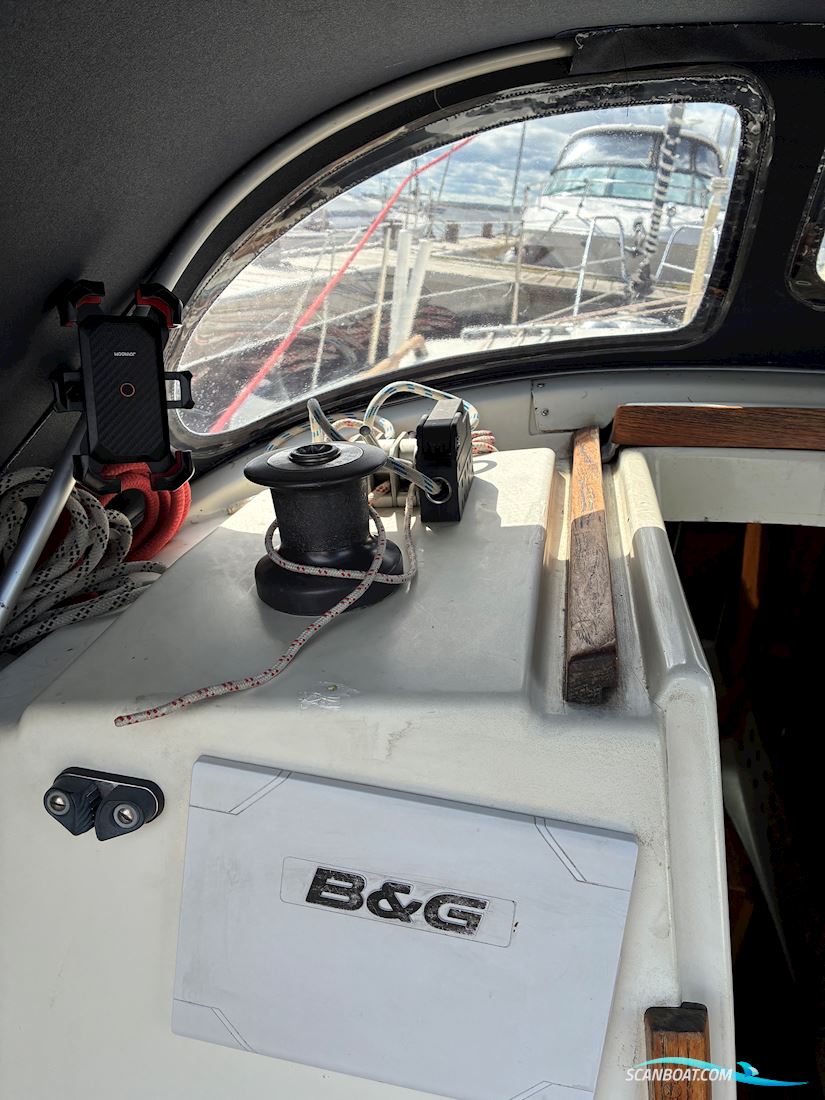 Scampi 30