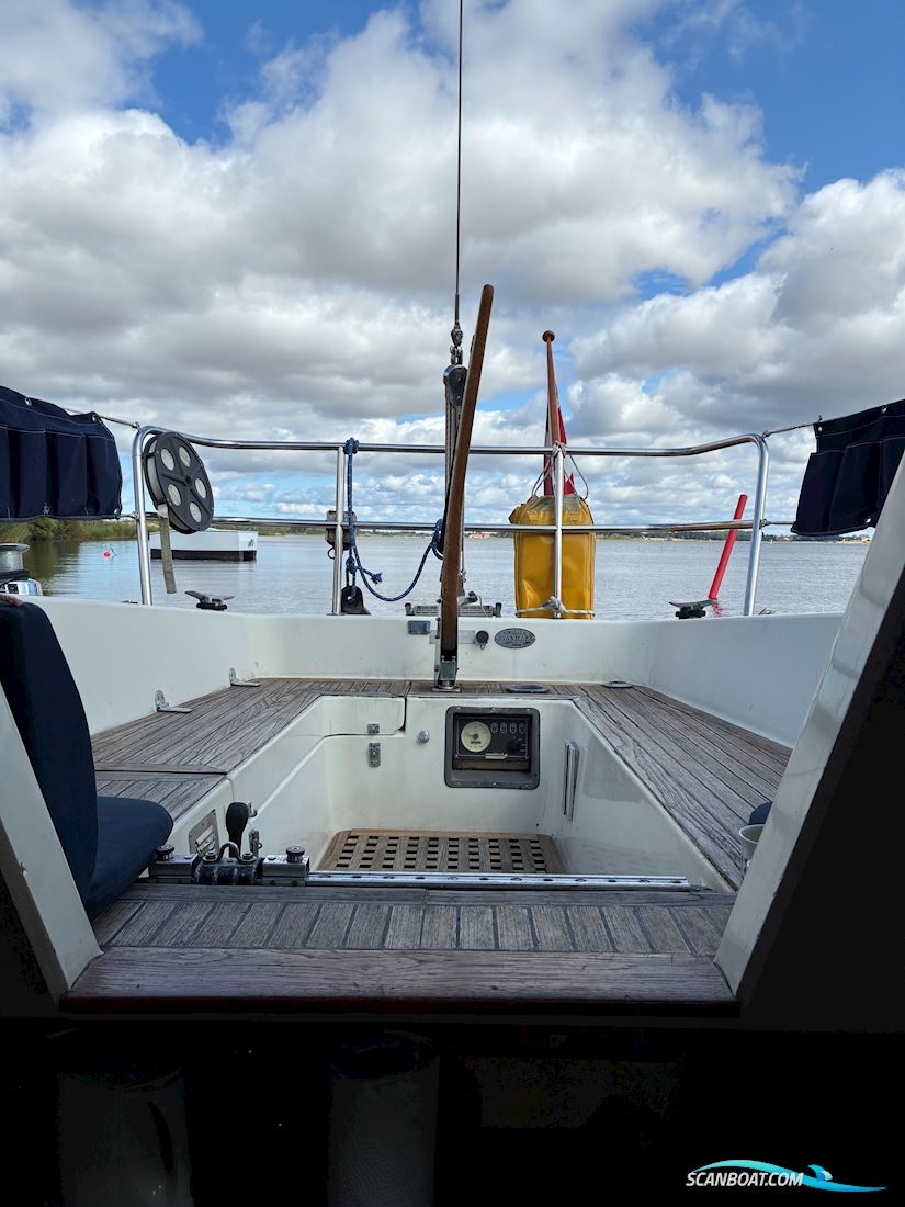 Scampi 30