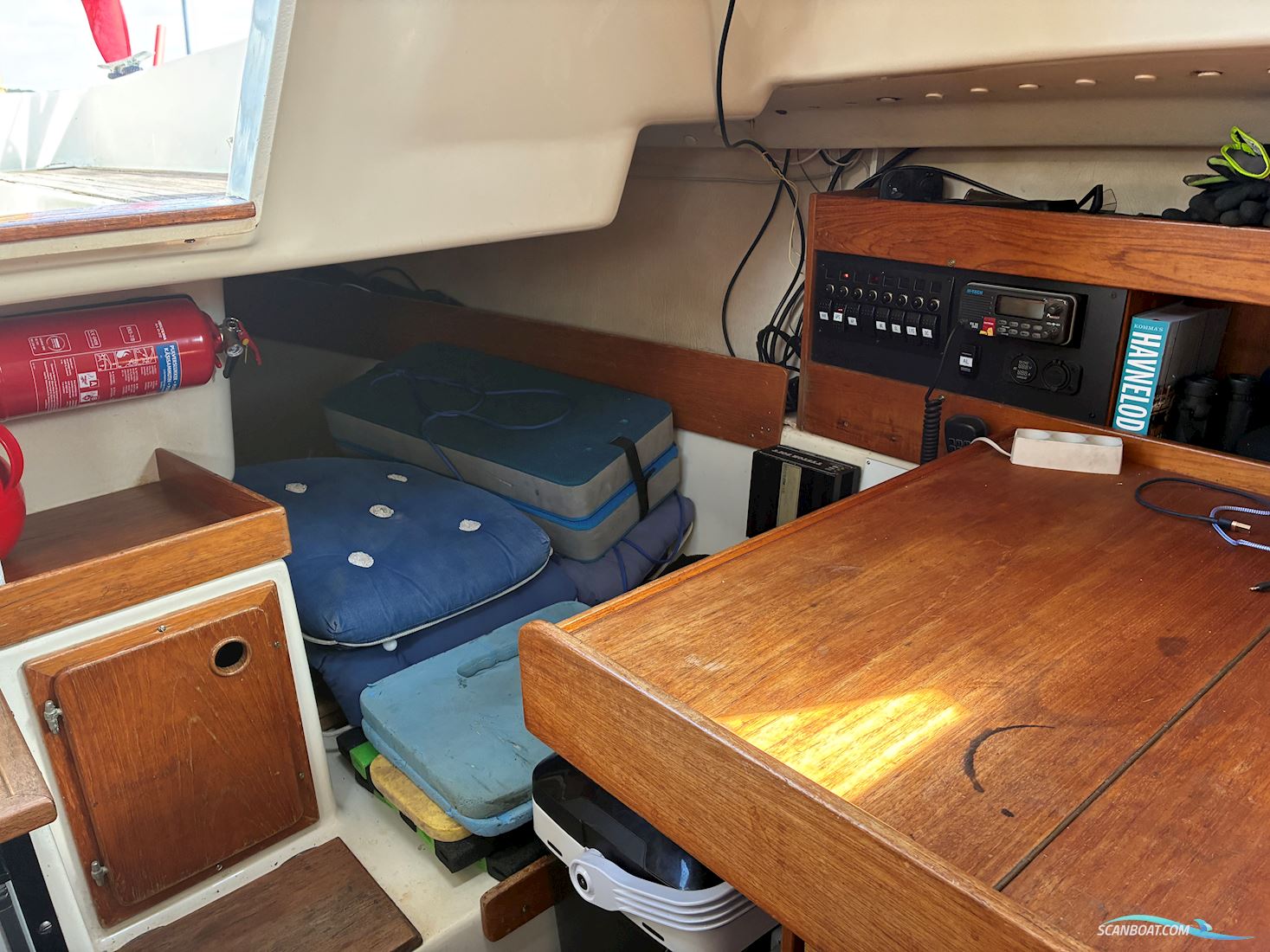 Scampi 30