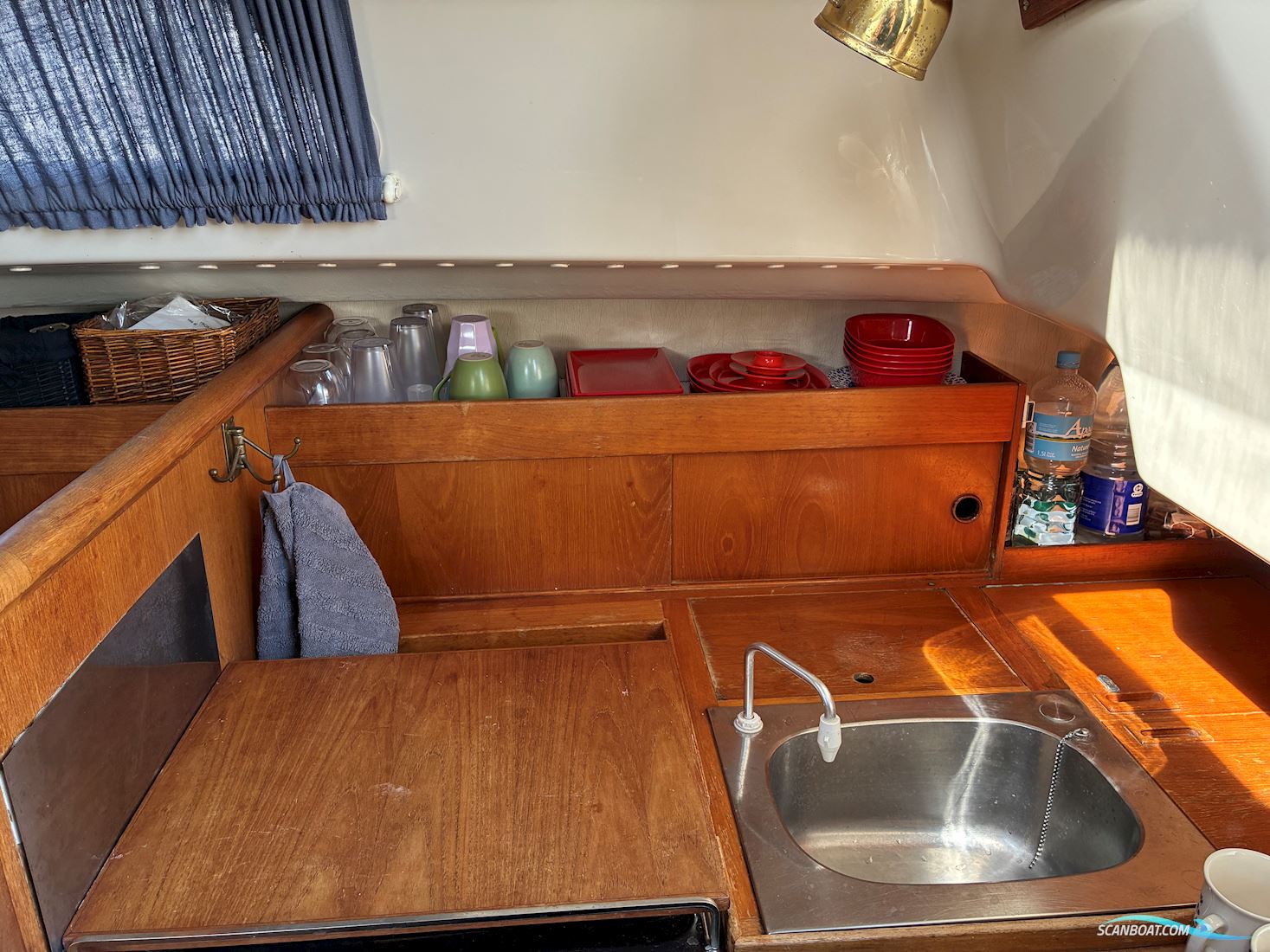 Scampi 30