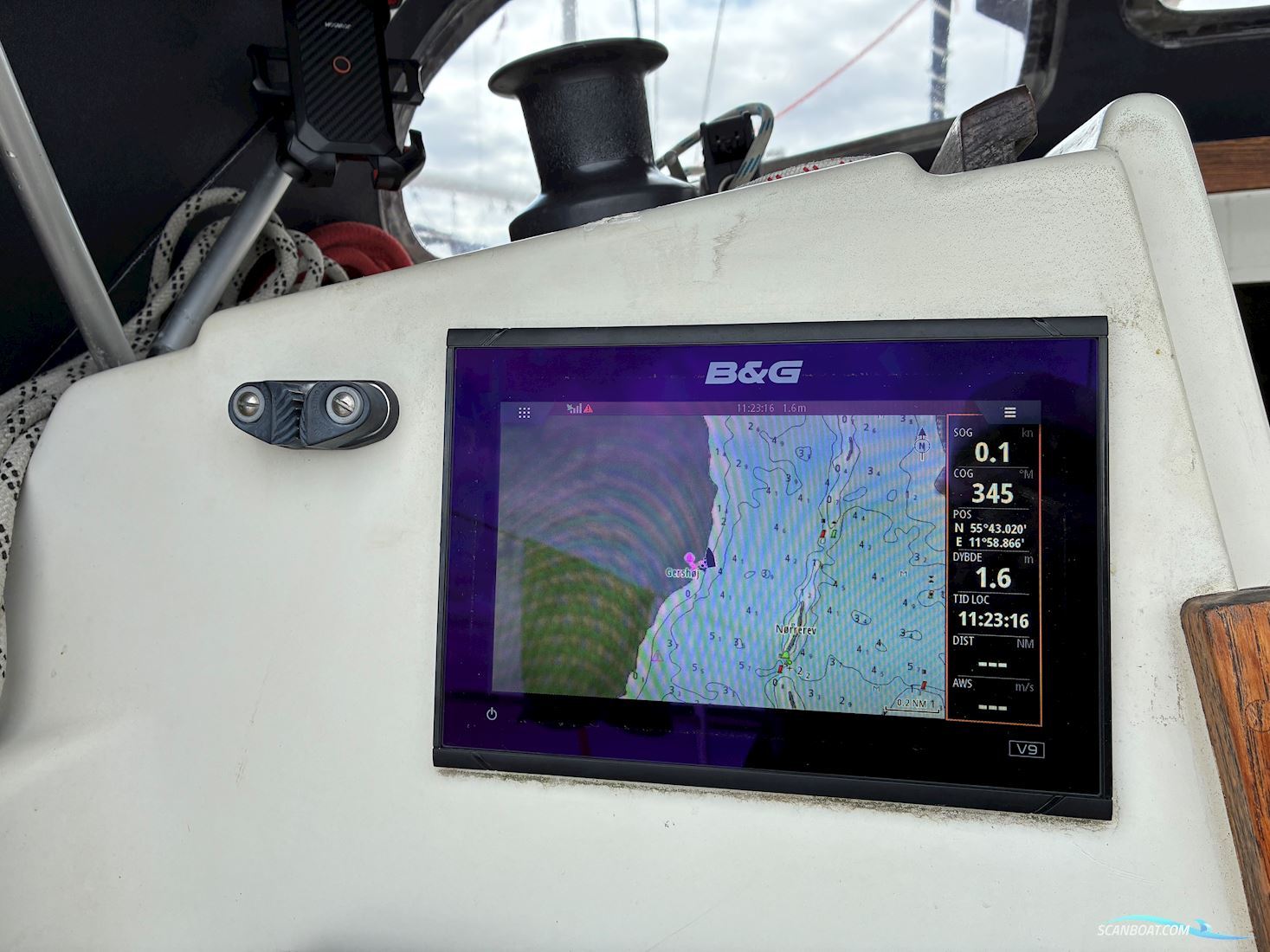 Scampi 30