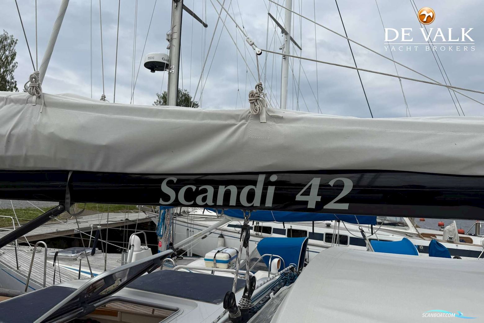 Scandi 42