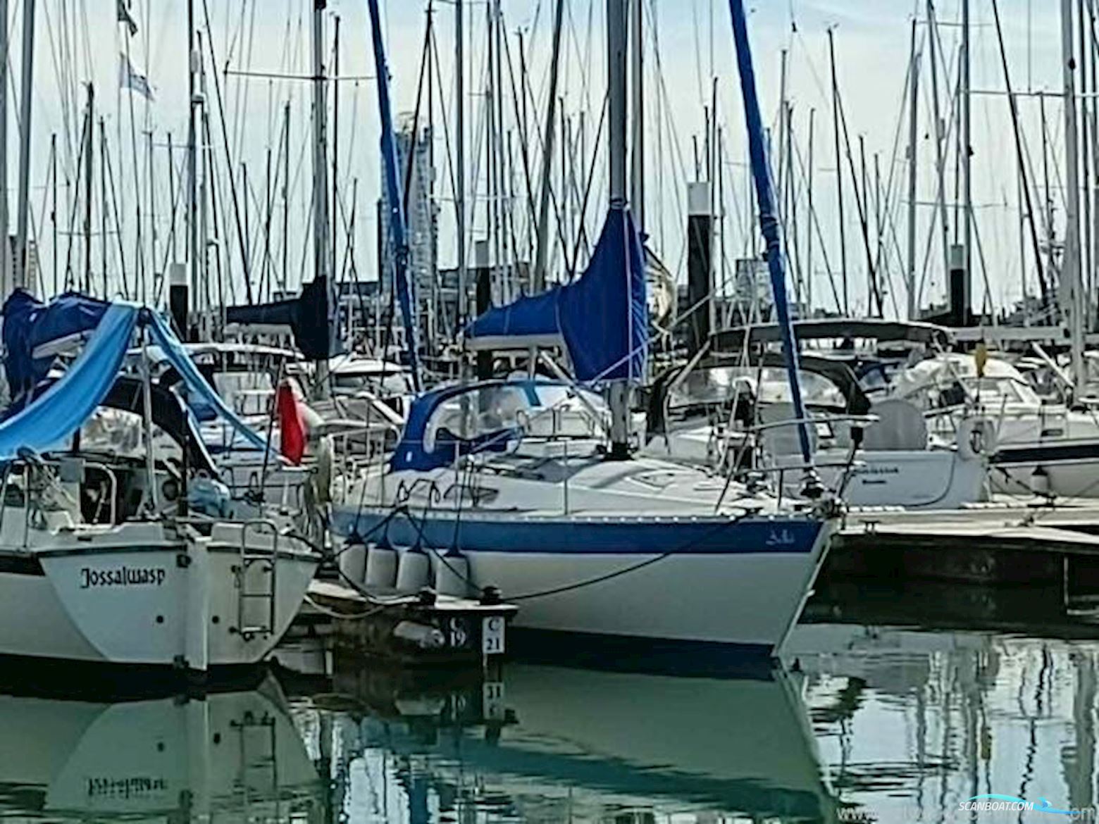 Scanmar 33