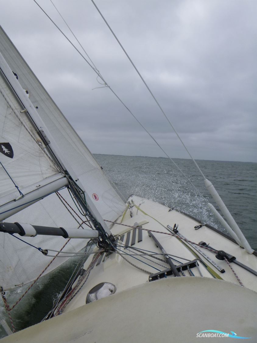 Schärenkreuzer Lotus 40