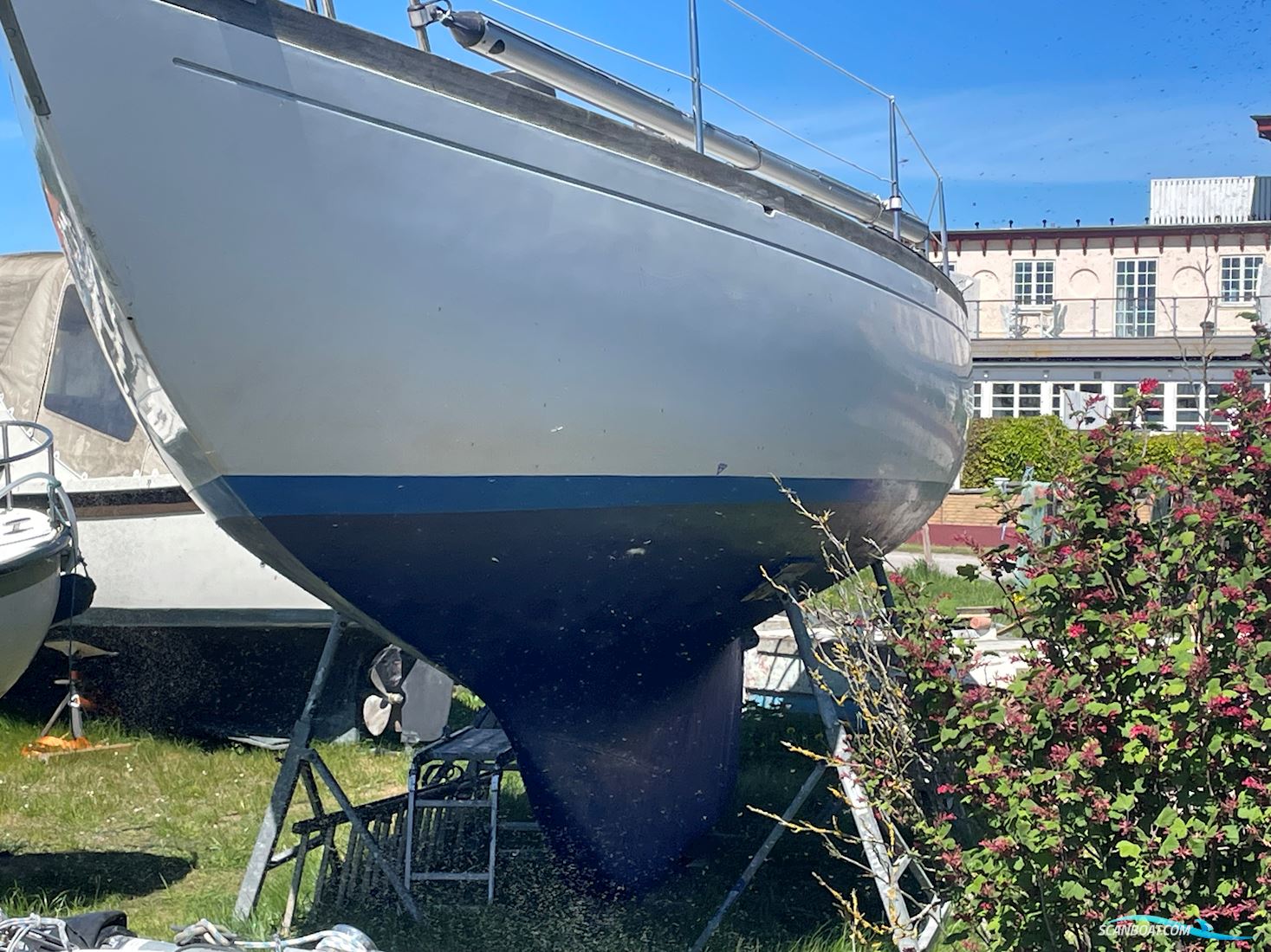 Schelinkryssare