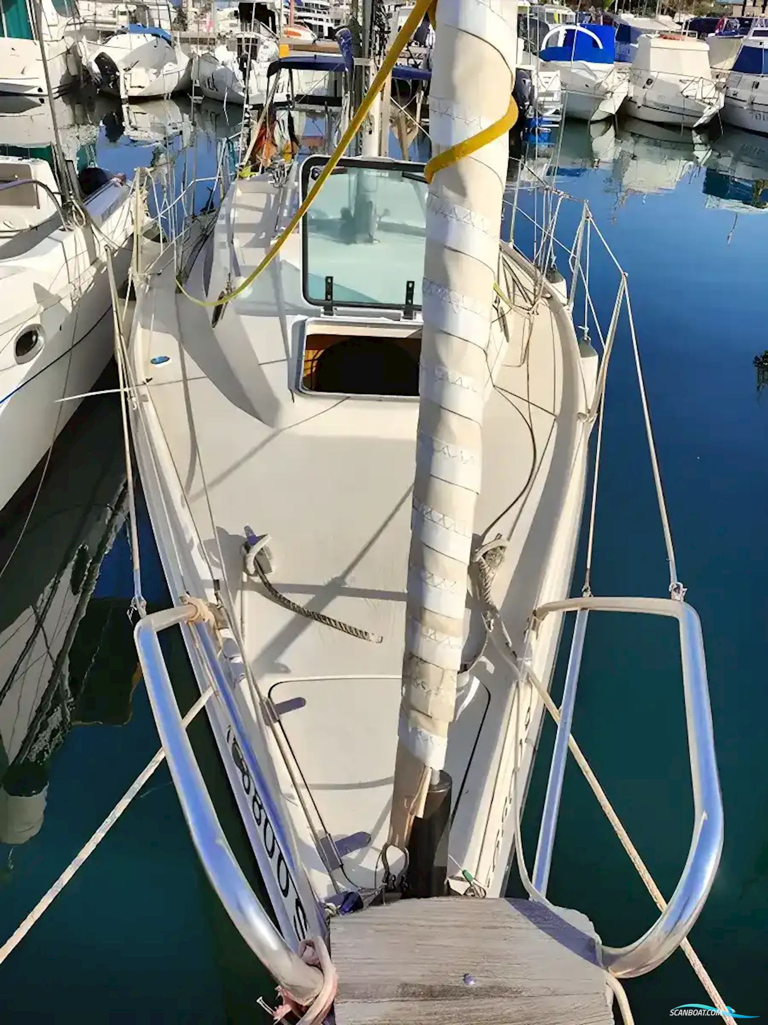 Schochl Sunbeam 27