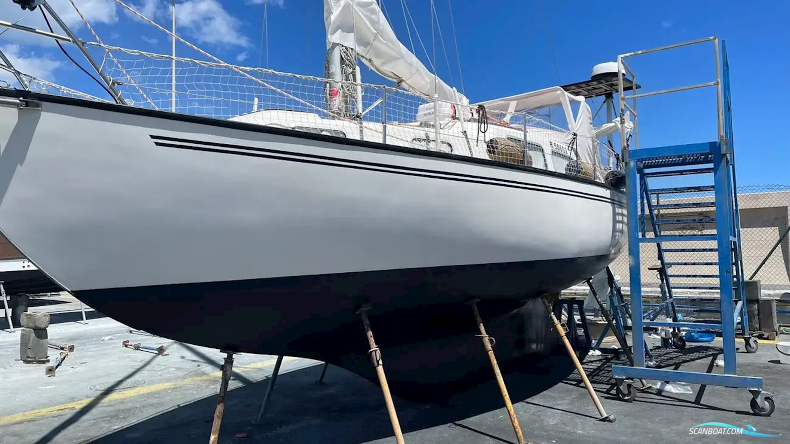Segmo Semona 30
