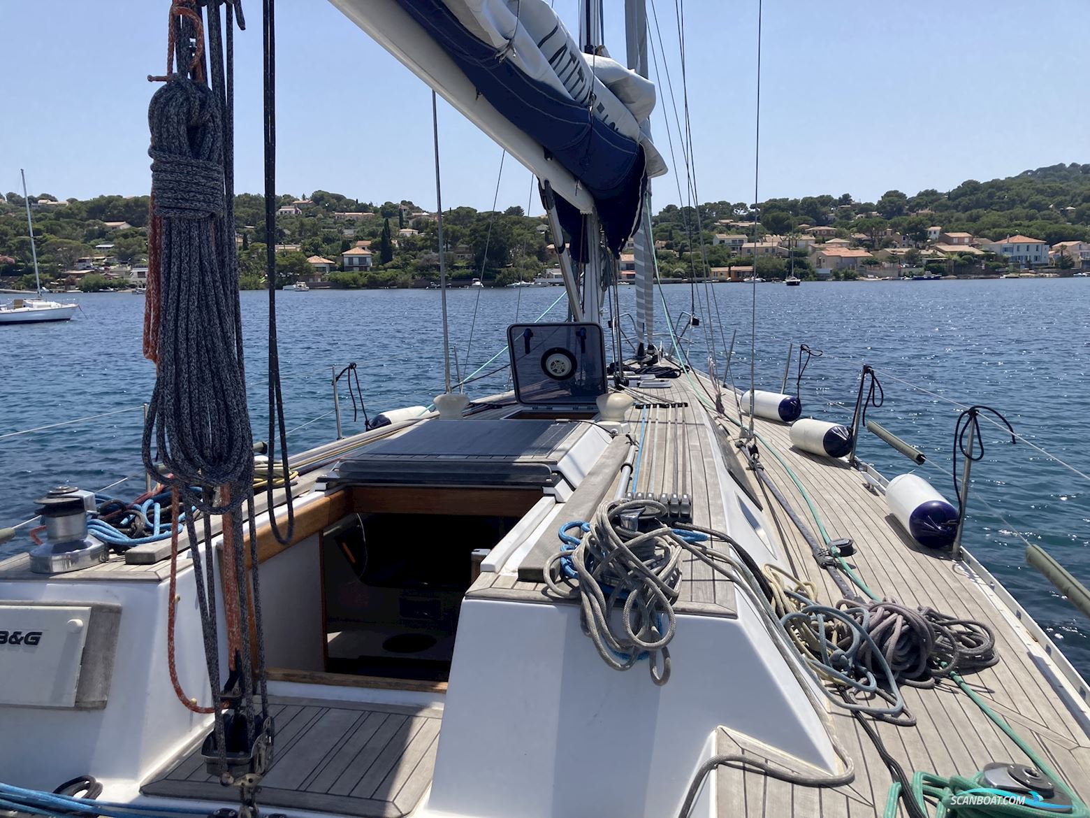 Shark 50