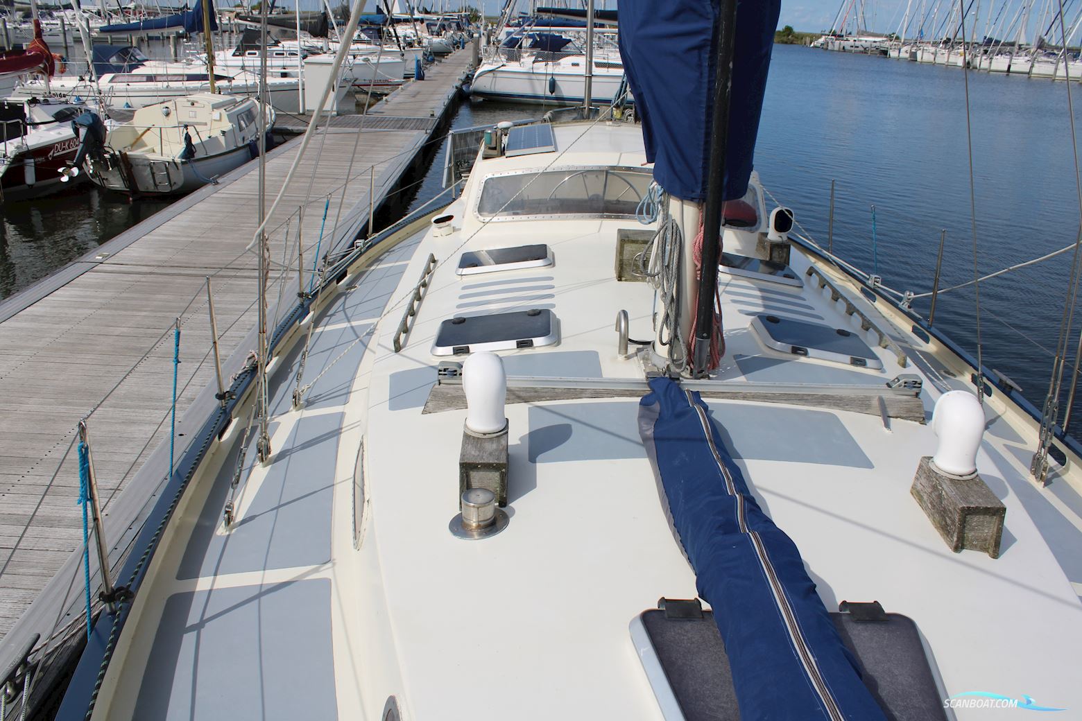 Shetland Sixaern