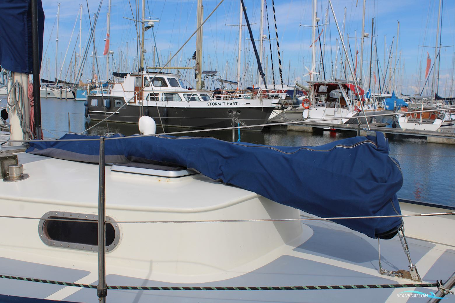Shetland Sixaern