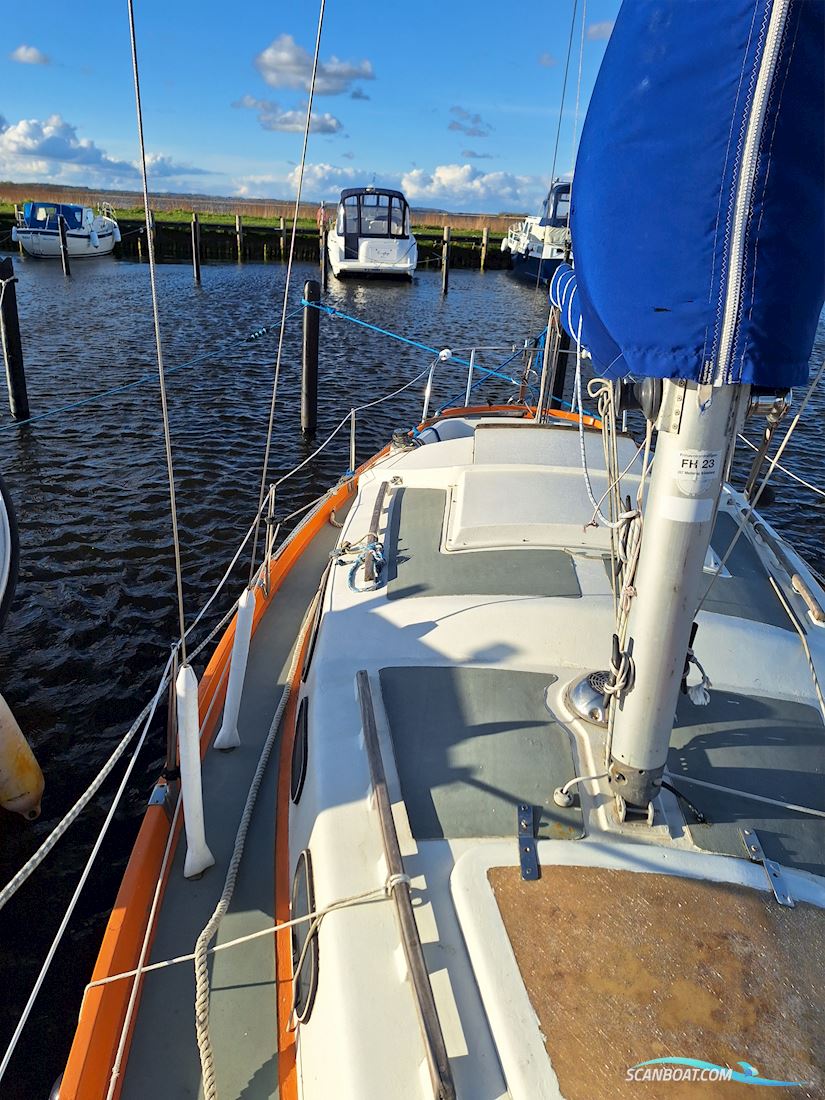 Shipman28
