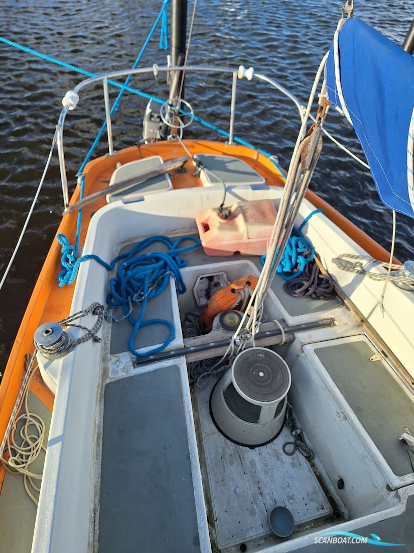 Shipman28