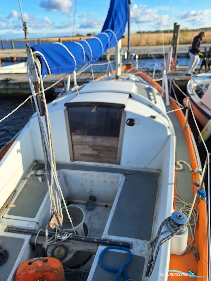 Shipman28