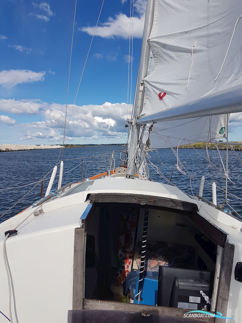 Shipman28