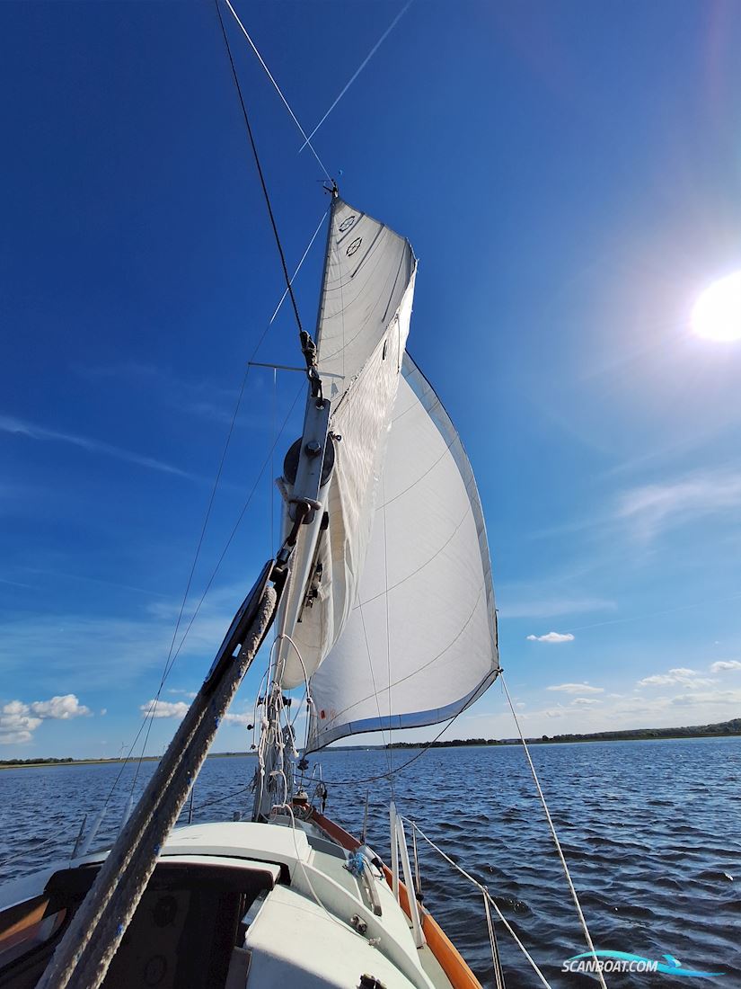 Shipman28
