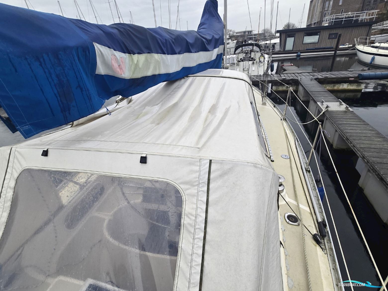 Sirena 38