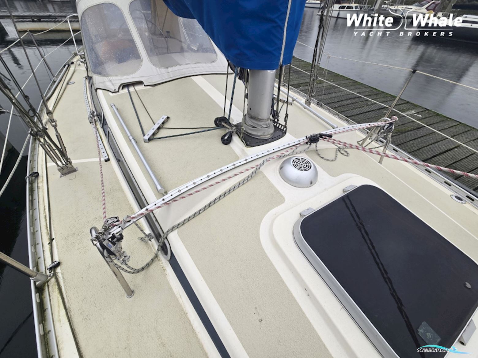 Sirena 38
