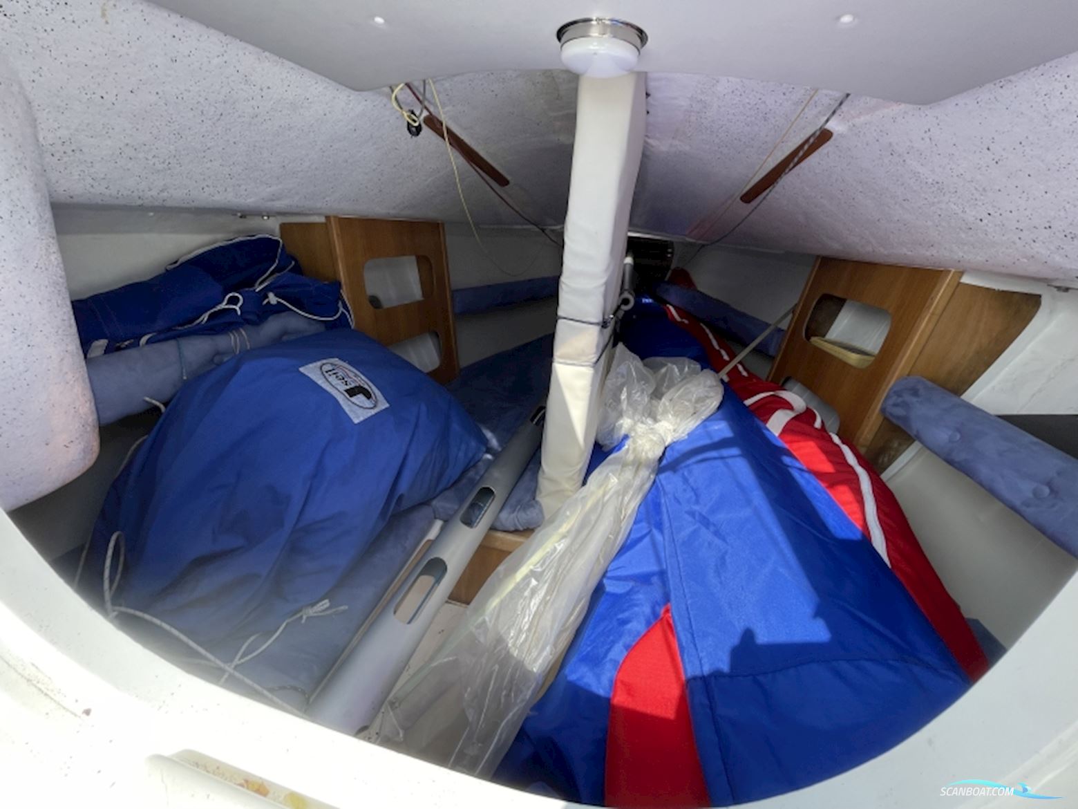 Skippi 650 Race sejlbåd