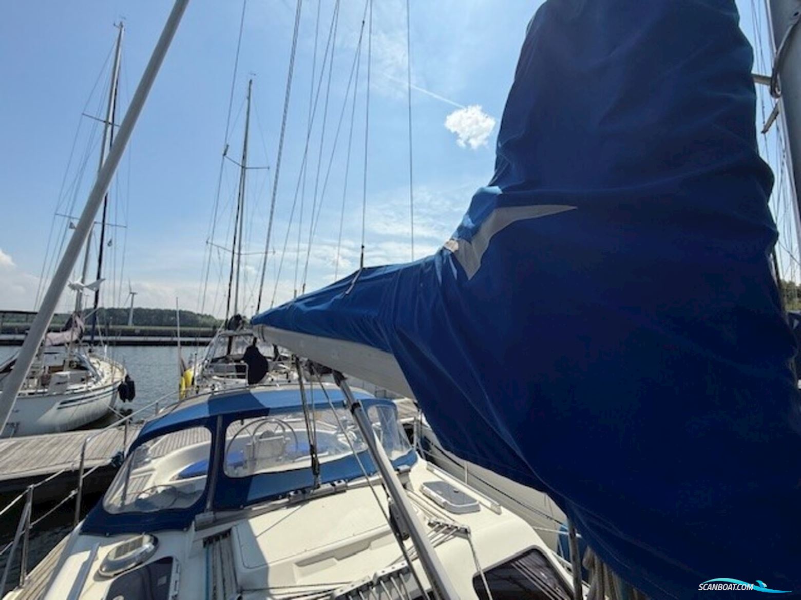SOUTHERLY 115
