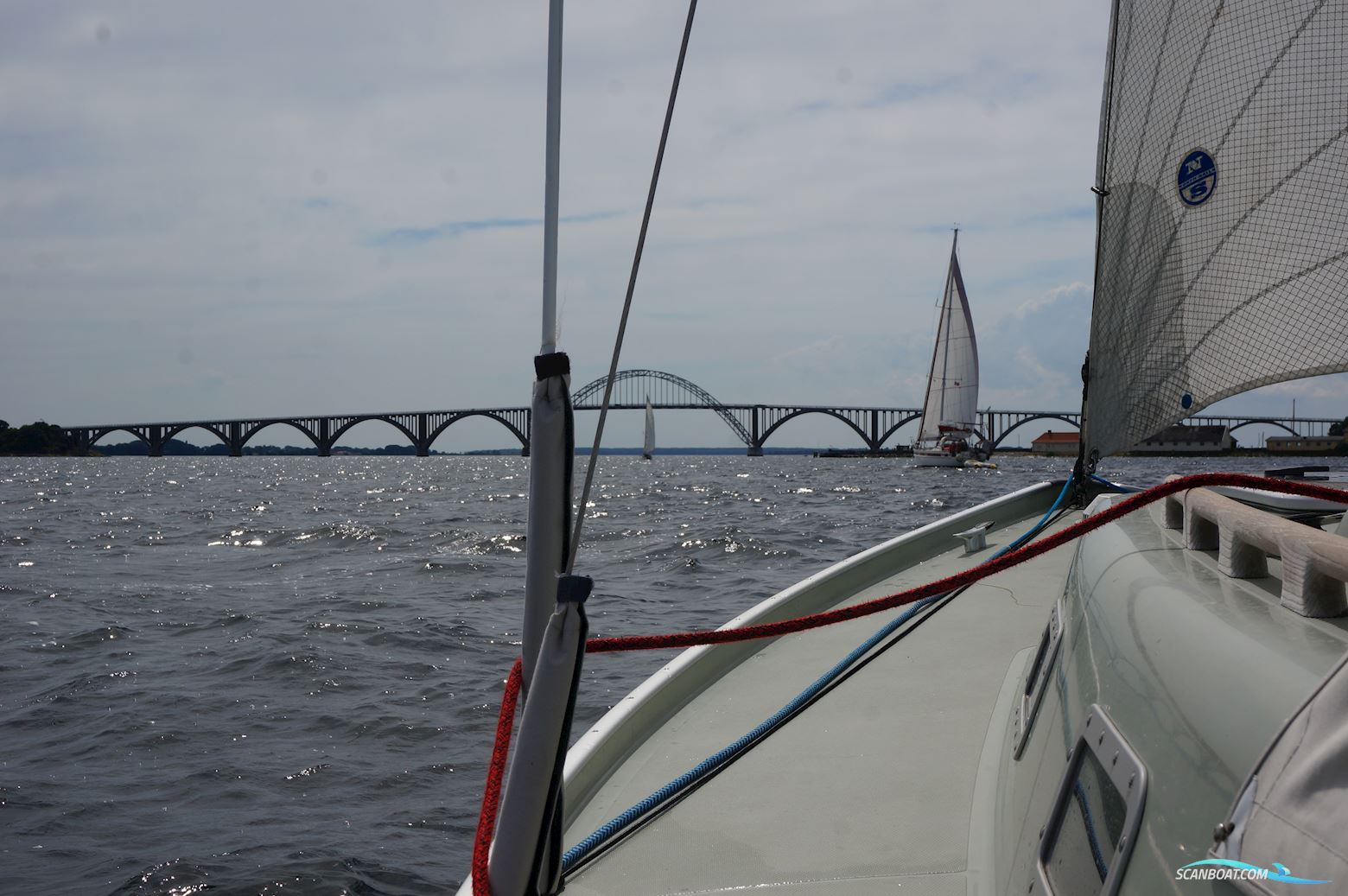 Spækhugger Racing DEN-24, Hansigne