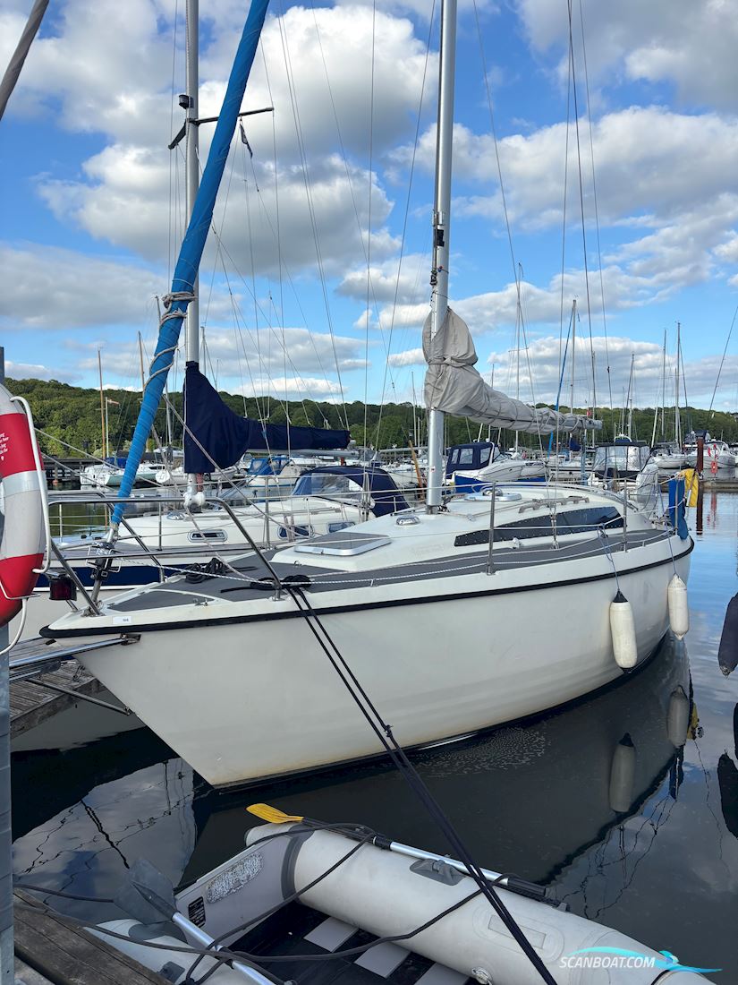 Sunwind 31