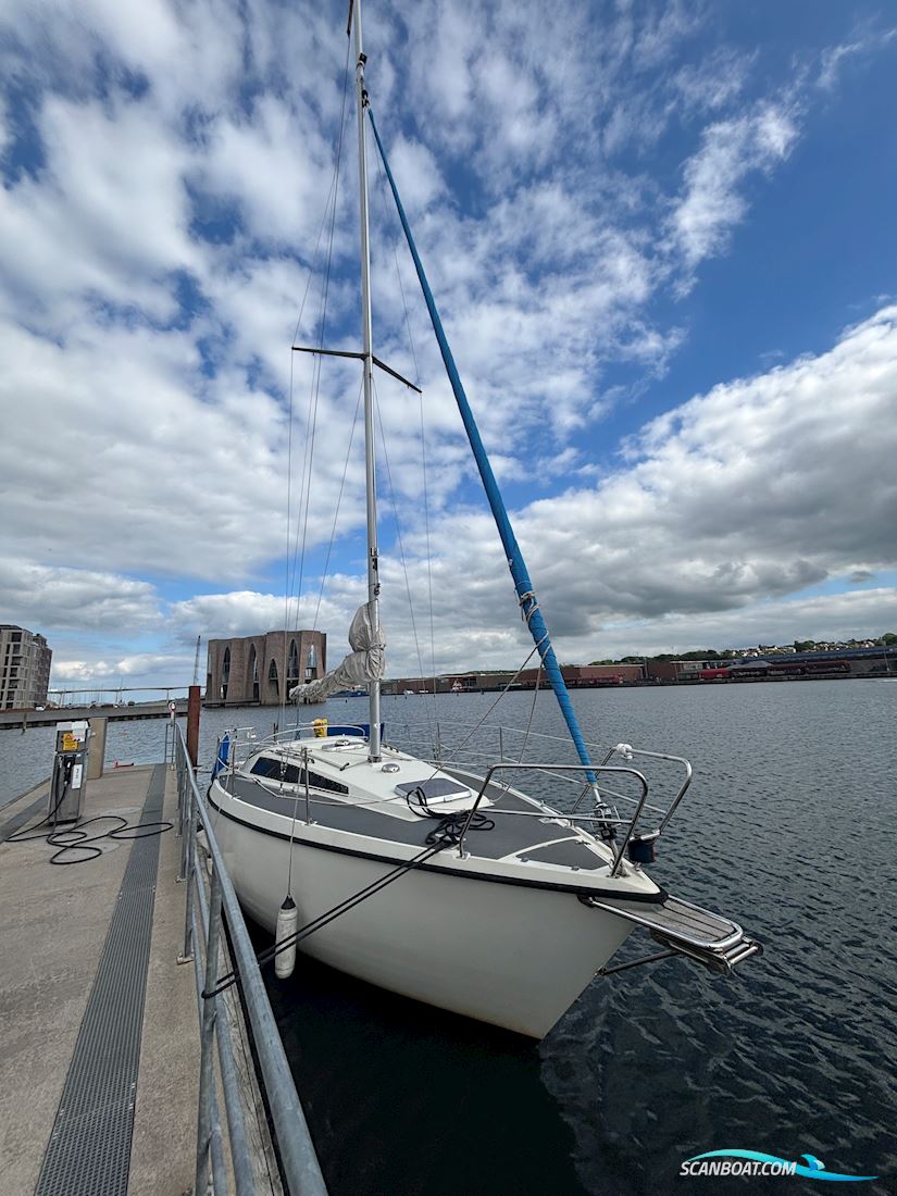 Sunwind 31