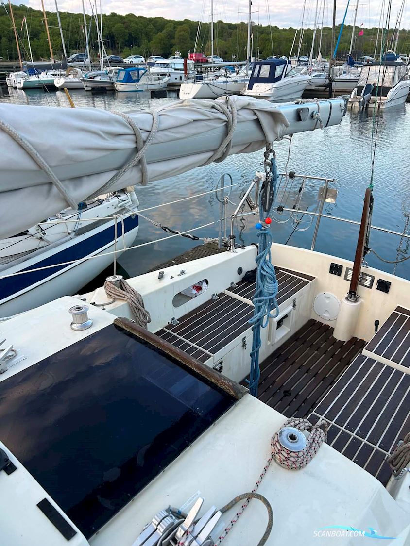 Sunwind 31