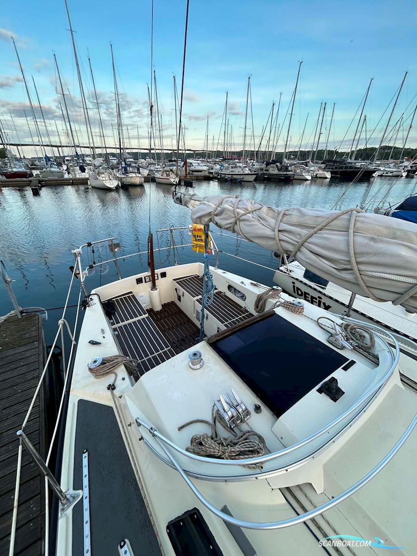 Sunwind 31