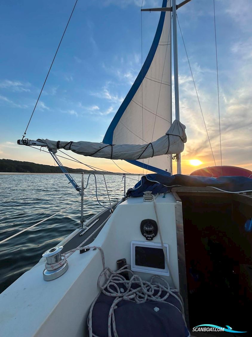 Sunwind 31