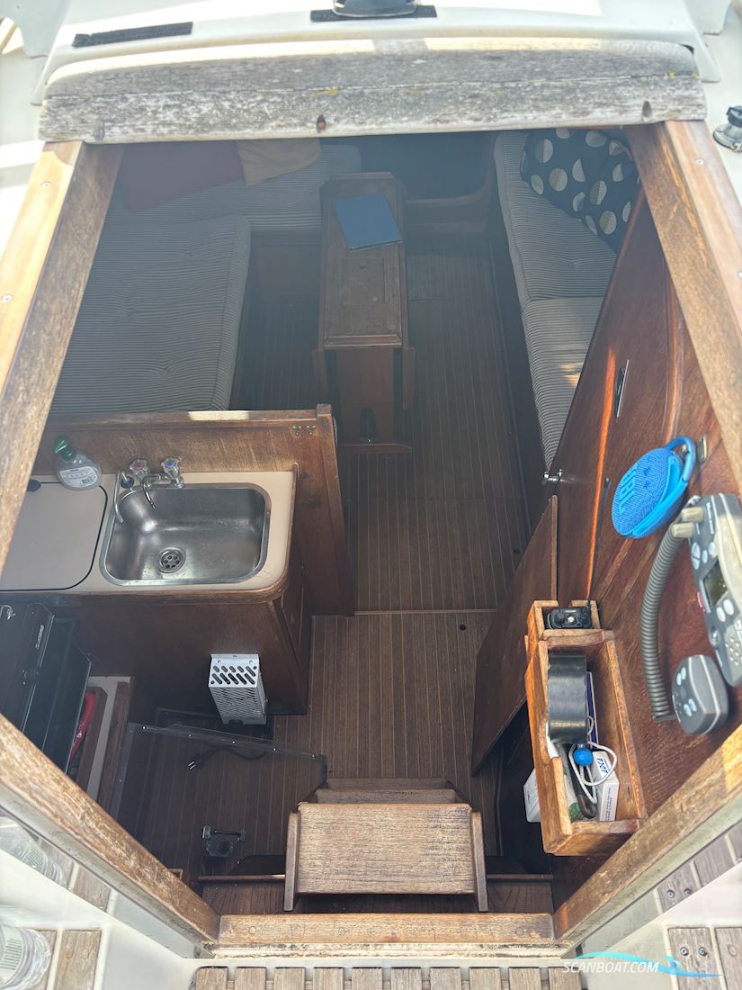 Sunwind 31
