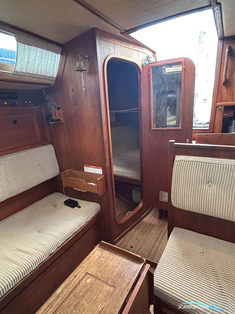 Sunwind 31