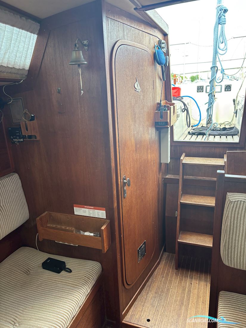 Sunwind 31